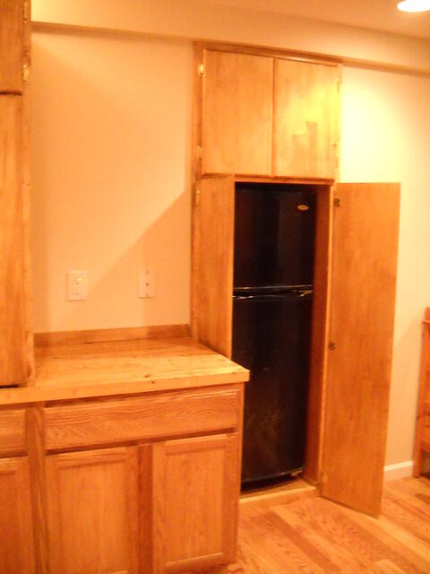 Fridge in Basement