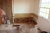 Bathroom gutted